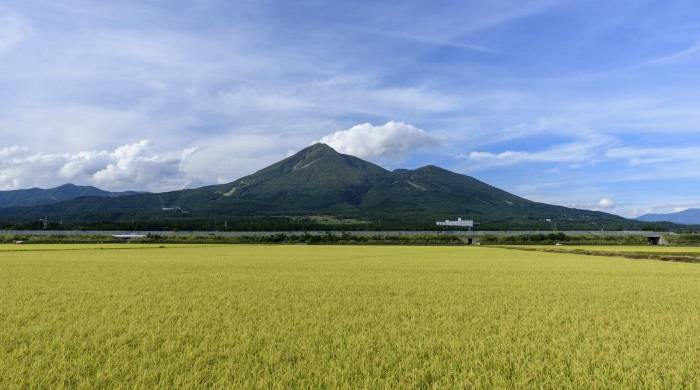 空调才是经销商定心丸,其它品类多是锦上添花!-家电圈官网