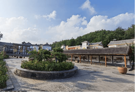 特色种植精深加工乡村旅游丁河猕猴桃小镇走出了特色致富路