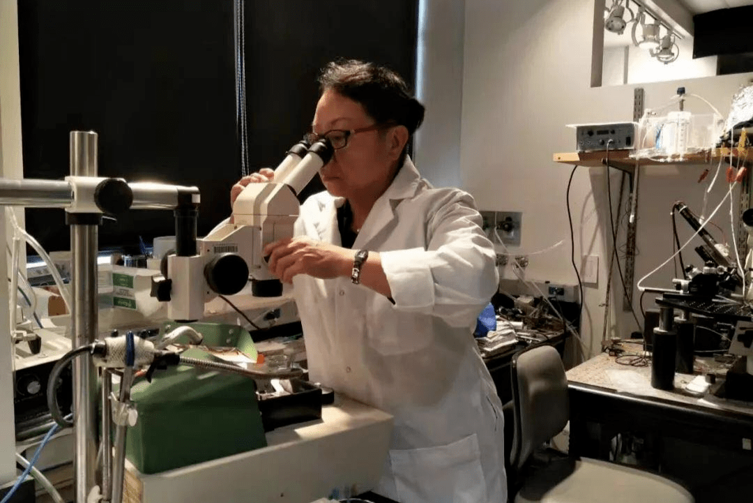 从北大博士到低保户他到底经历了什么