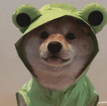 354_351gif 动态图 动图