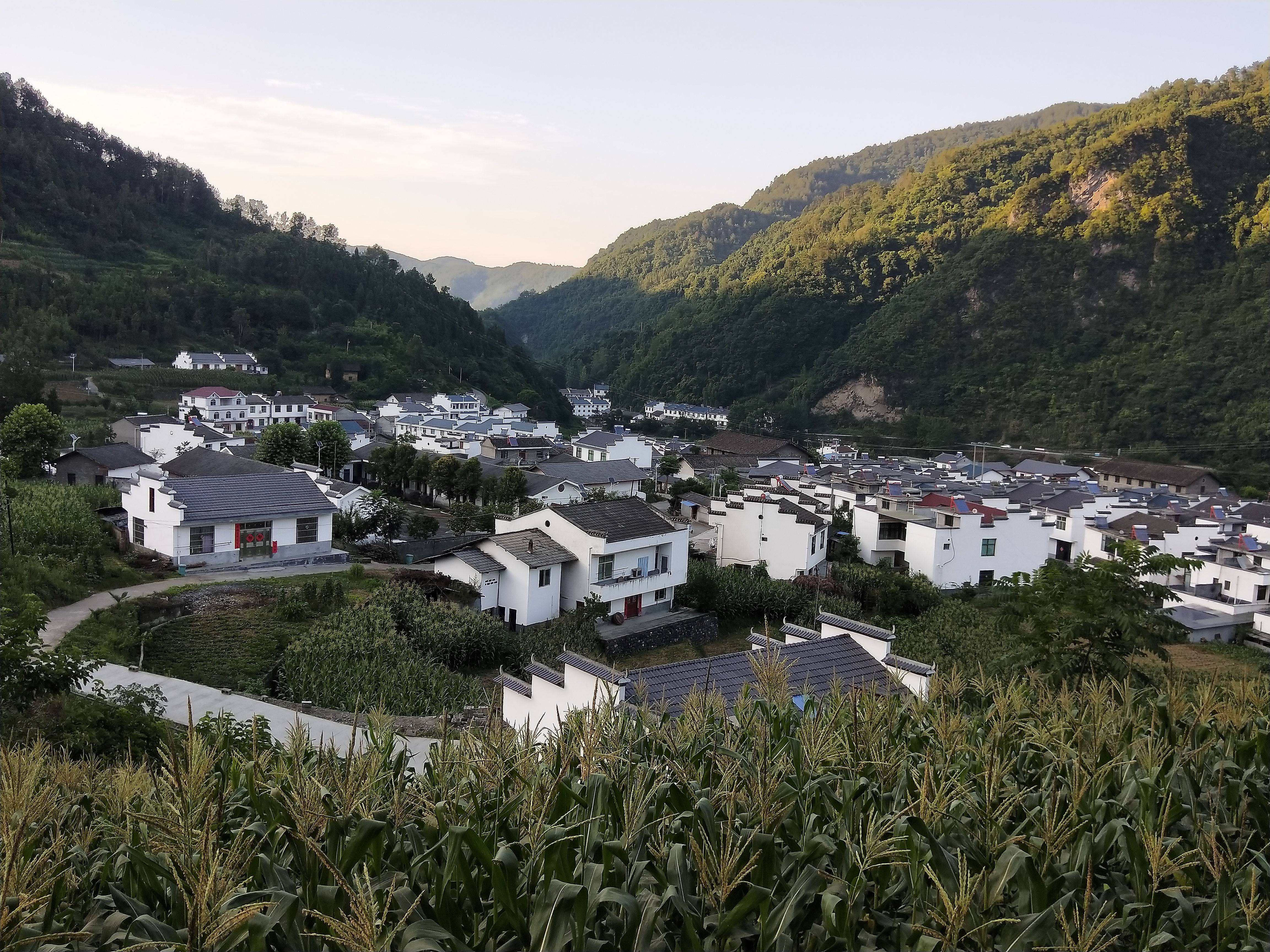 走进平利,映入眼帘的是"碧水蓝天马头墙,翠竹绿树映茶山"迷人风光.