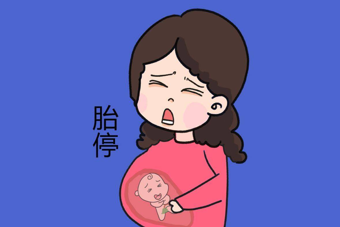 胎停发生的原因多样,有可能是母体的分泌系统影响,也可能是染色体异常