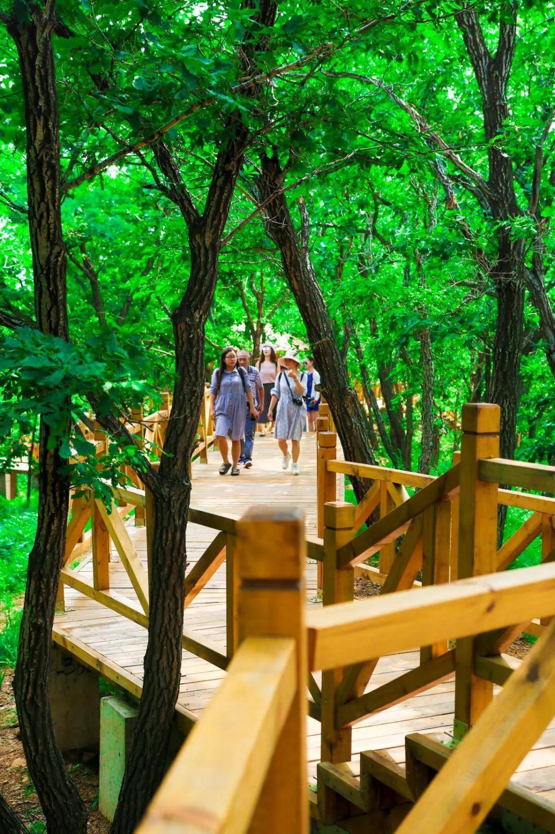 自驾丨莲花山俏天池度假营地七夕特别活动