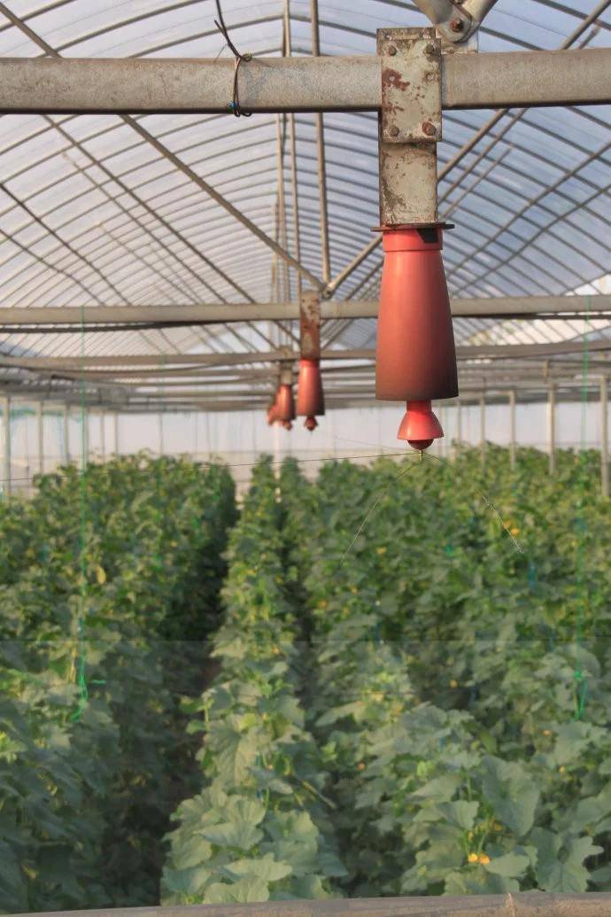 空间电场如何除湿减病害?物理农业大棚妙用!