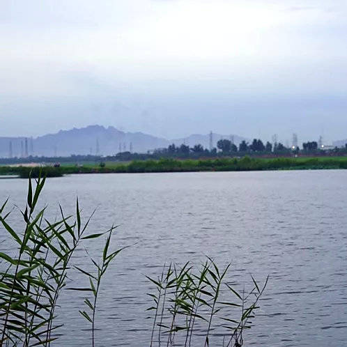 房山小西湖可野餐可垂钓可放风筝99的人还没去过