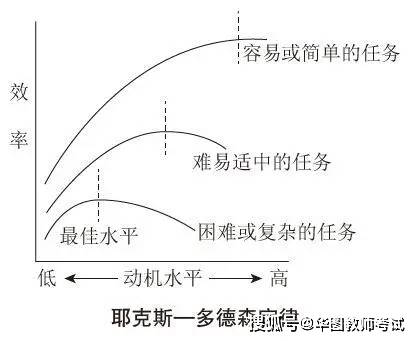 考点训练营心理学学习动机与效率的关系