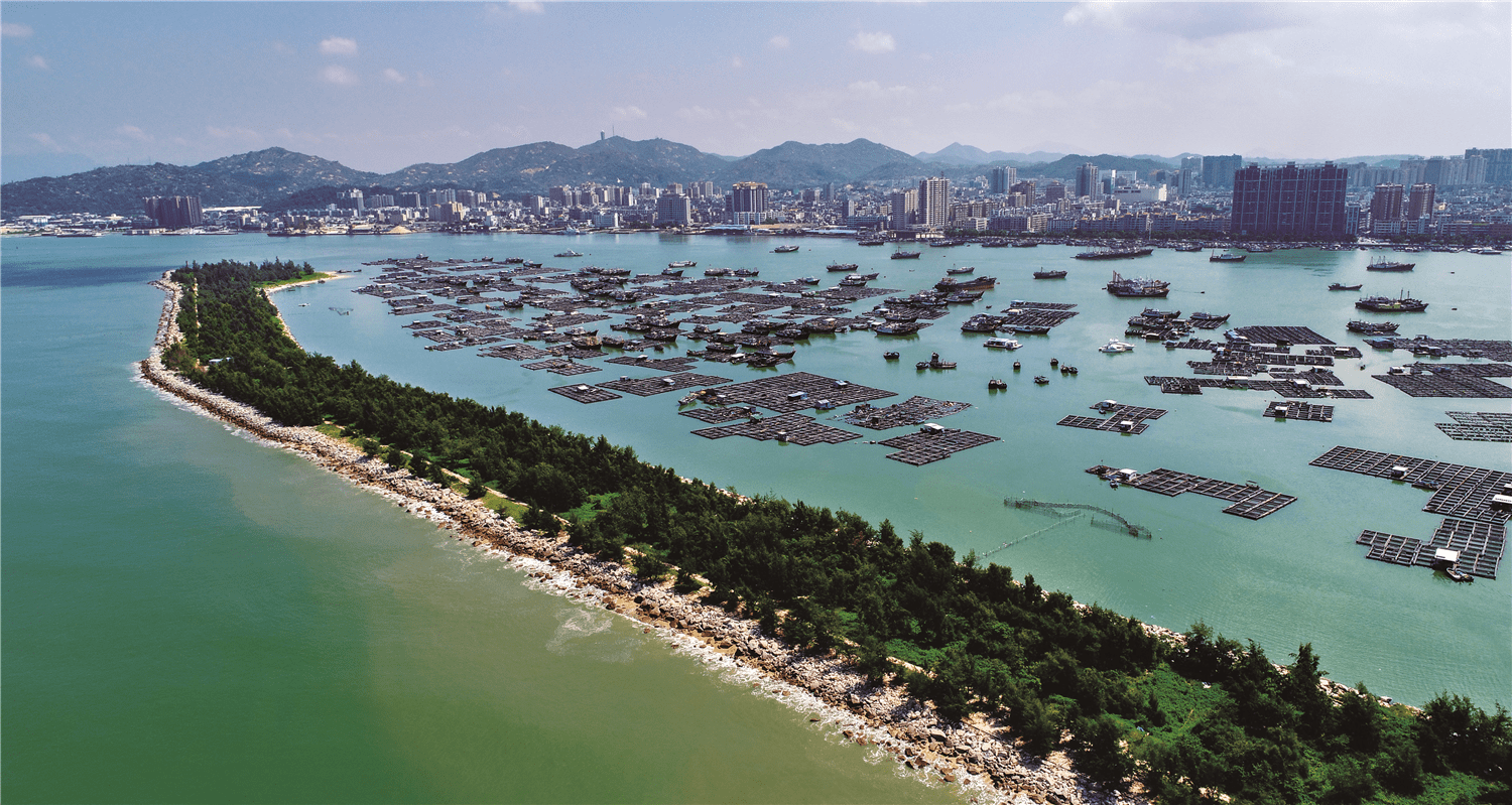 汕尾陆丰市南塘镇:疫情总体可控 社会秩序稳定_手机搜狐网