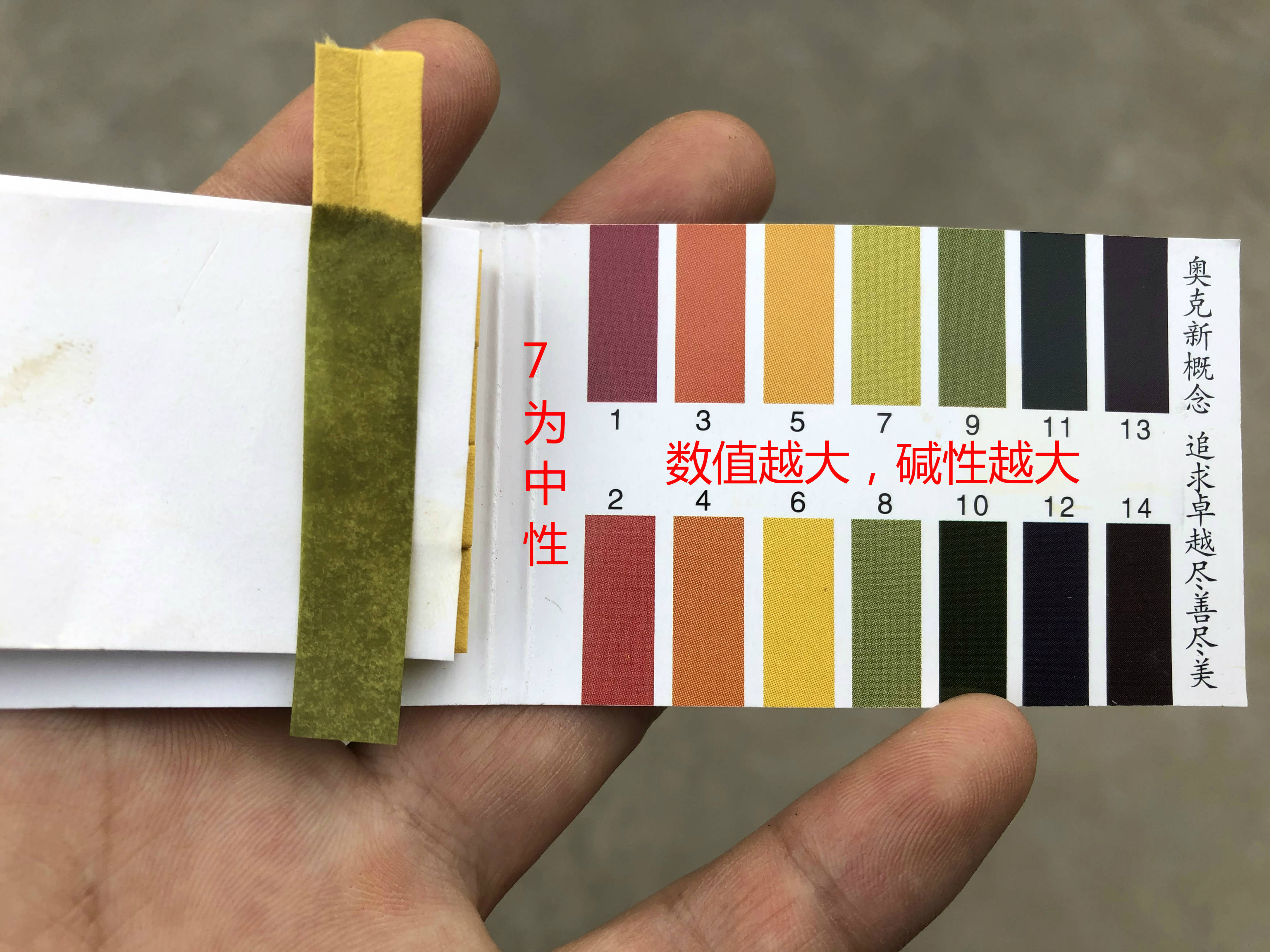 栀子花总是养不好,买回来没几天就蔫了,做好这几点就行了_手机搜狐网