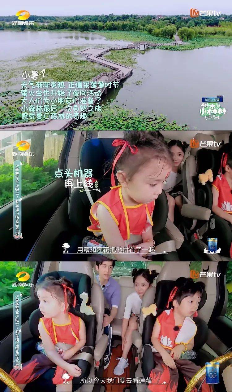 奇妙小森林打开大自然这盒巧克力童真成长和爱都是它的味道