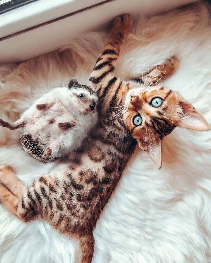 图片[8] - 【xizi被窝段子20200828】别跟往事干杯 往事都快吐了 - xizi