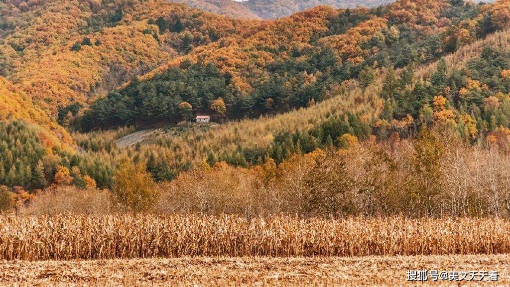 张晓风:秋天秋天