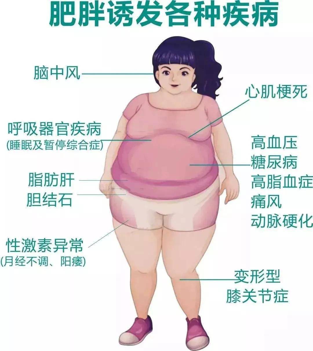 肥满化体重增肥图片