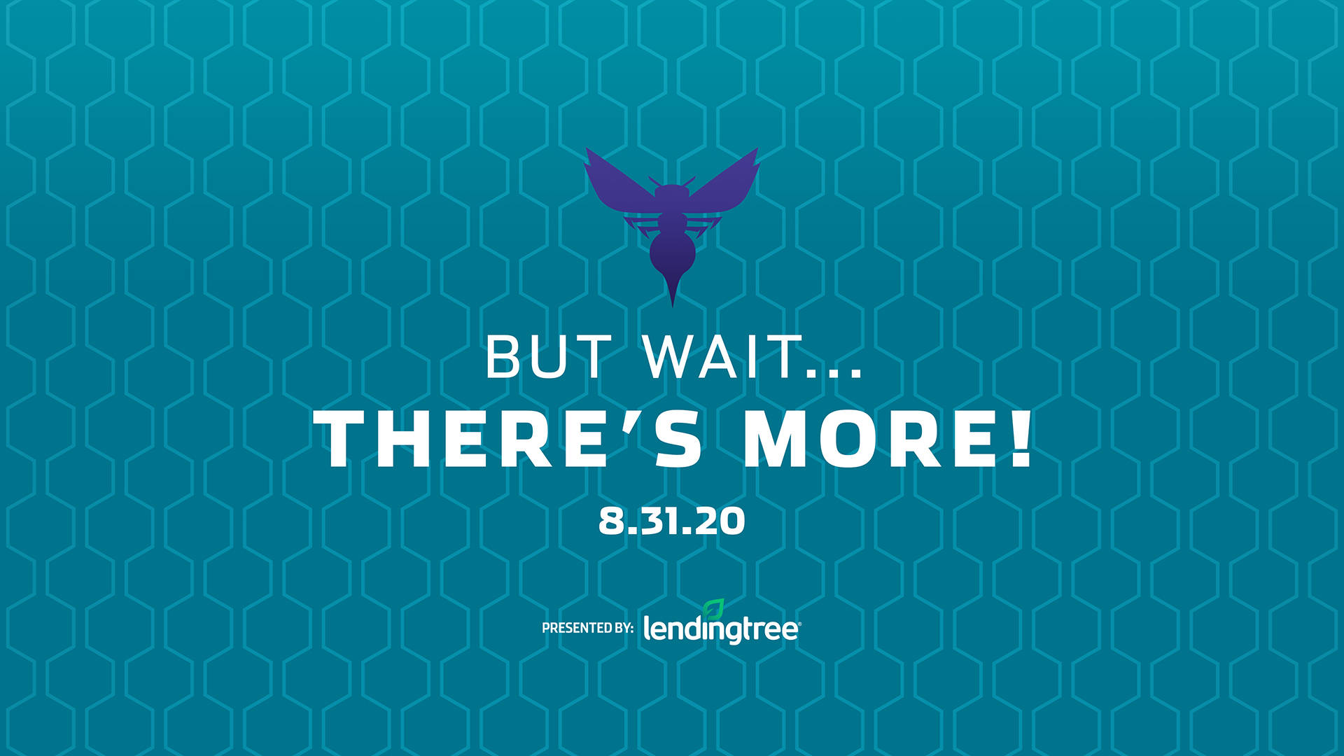 黄蜂队放弃使用条纹球衣一些影像成为了永久的回忆