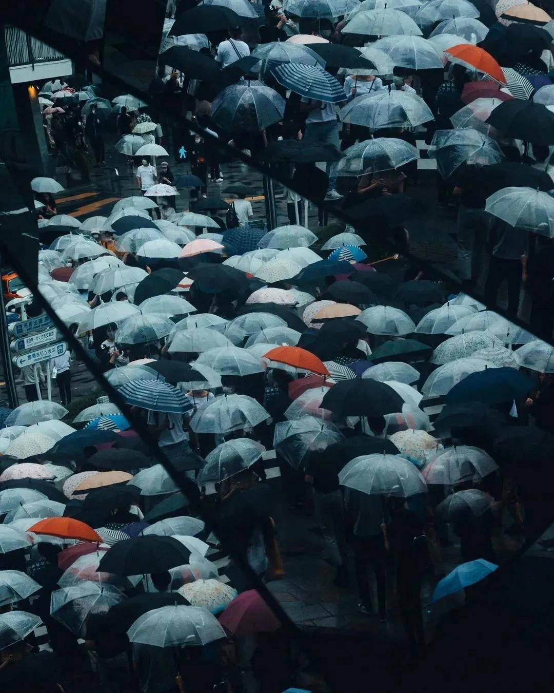雨天拍照该怎么拍这位摄影师来告诉你