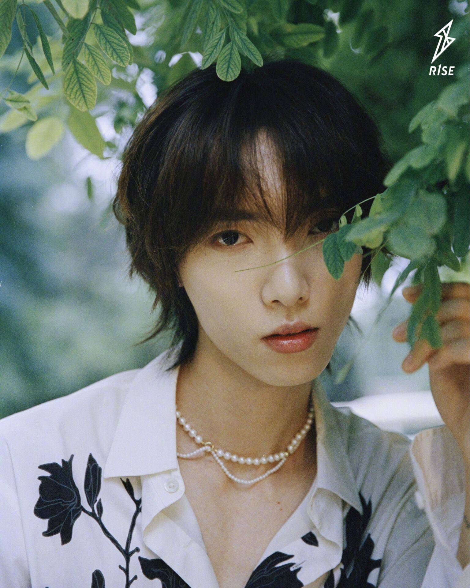 赵磊呼吸感大片自带治愈气息,彰显清新文艺气质