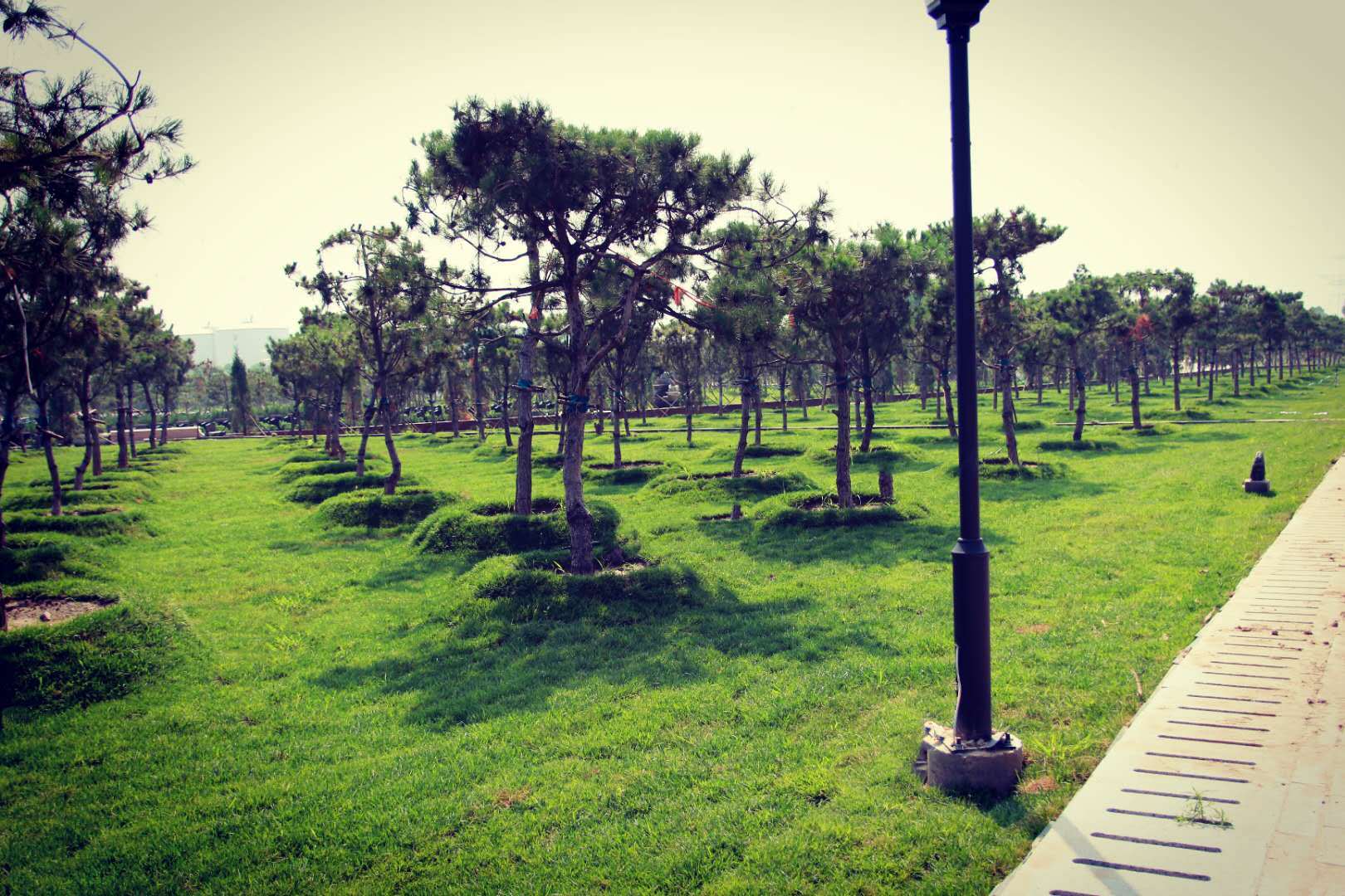 人文化,生态化,景观化,园林化的张家湾公墓_墓园