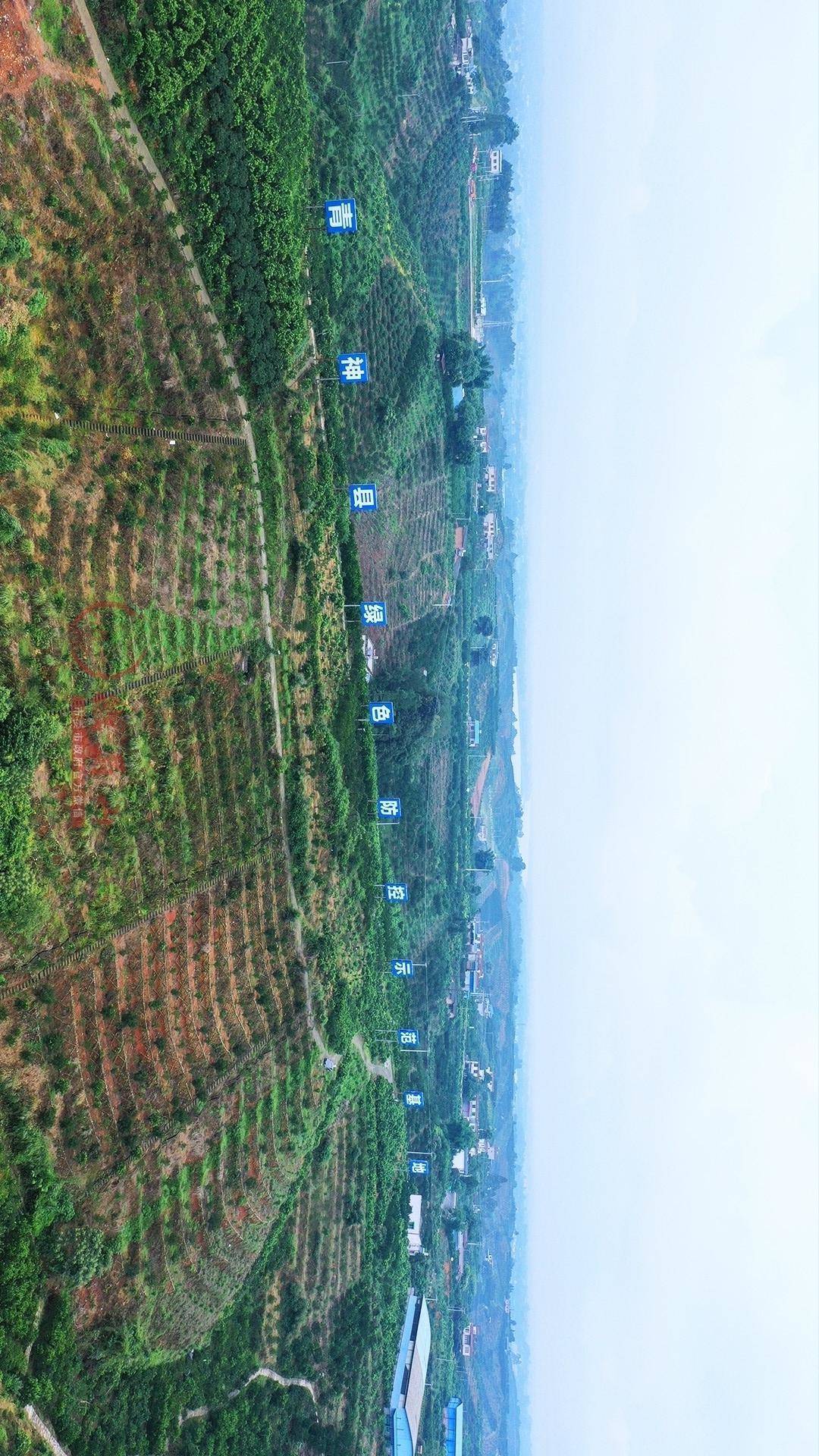 高清航拍,带你俯瞰眉山现代农业园区!