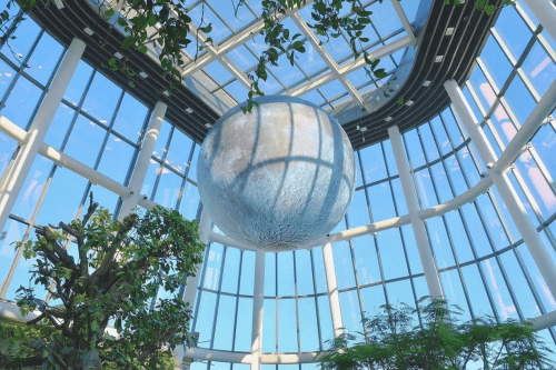 生态植物园惊现超级月亮上海南翔印象城mega成打卡地标