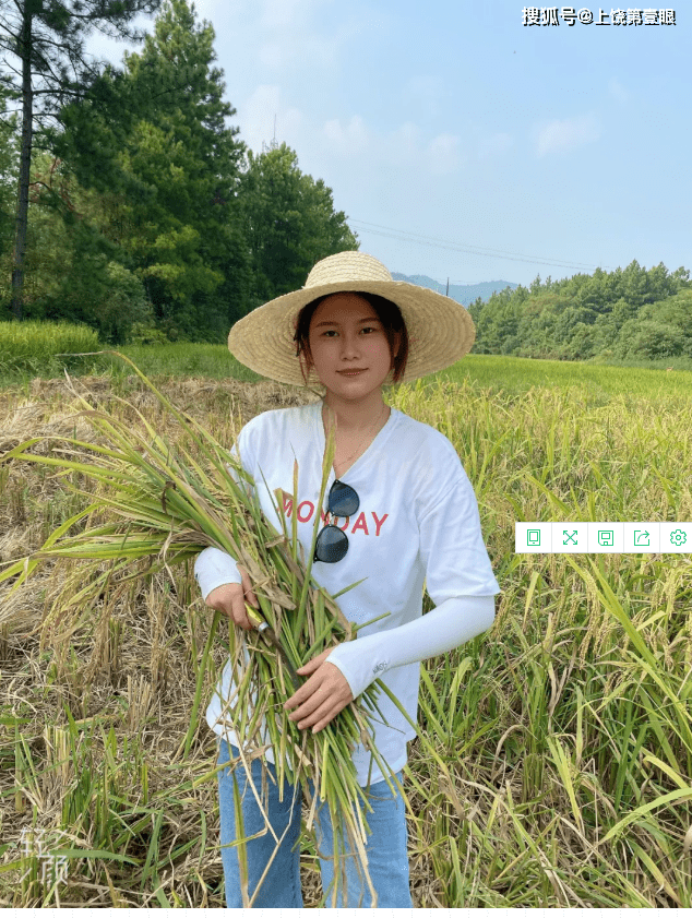 上饶横峰县九都陈家一村民成熟的水稻遭野猪糟蹋美女小编帮农妇一起