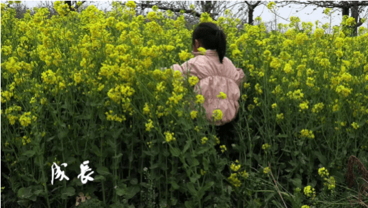 麦田守望者——看XA55记录《成长》的故事