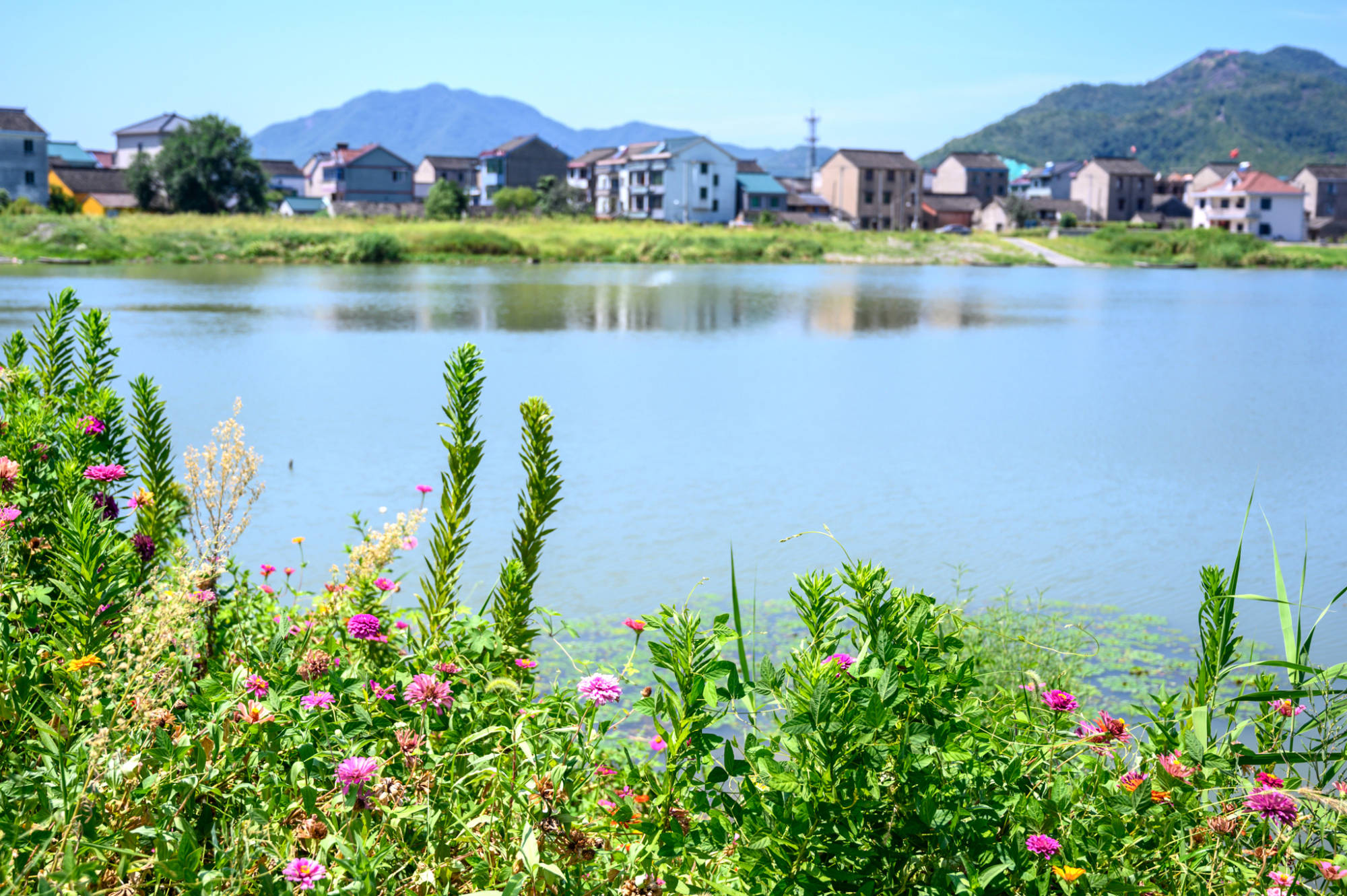 上虞第一大淡水湖皂李湖可与杭州西湖千岛湖相媲美门票0元