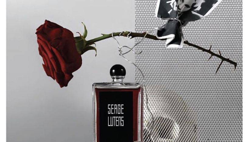 当红酒与香水相遇你爱的是哪个味道