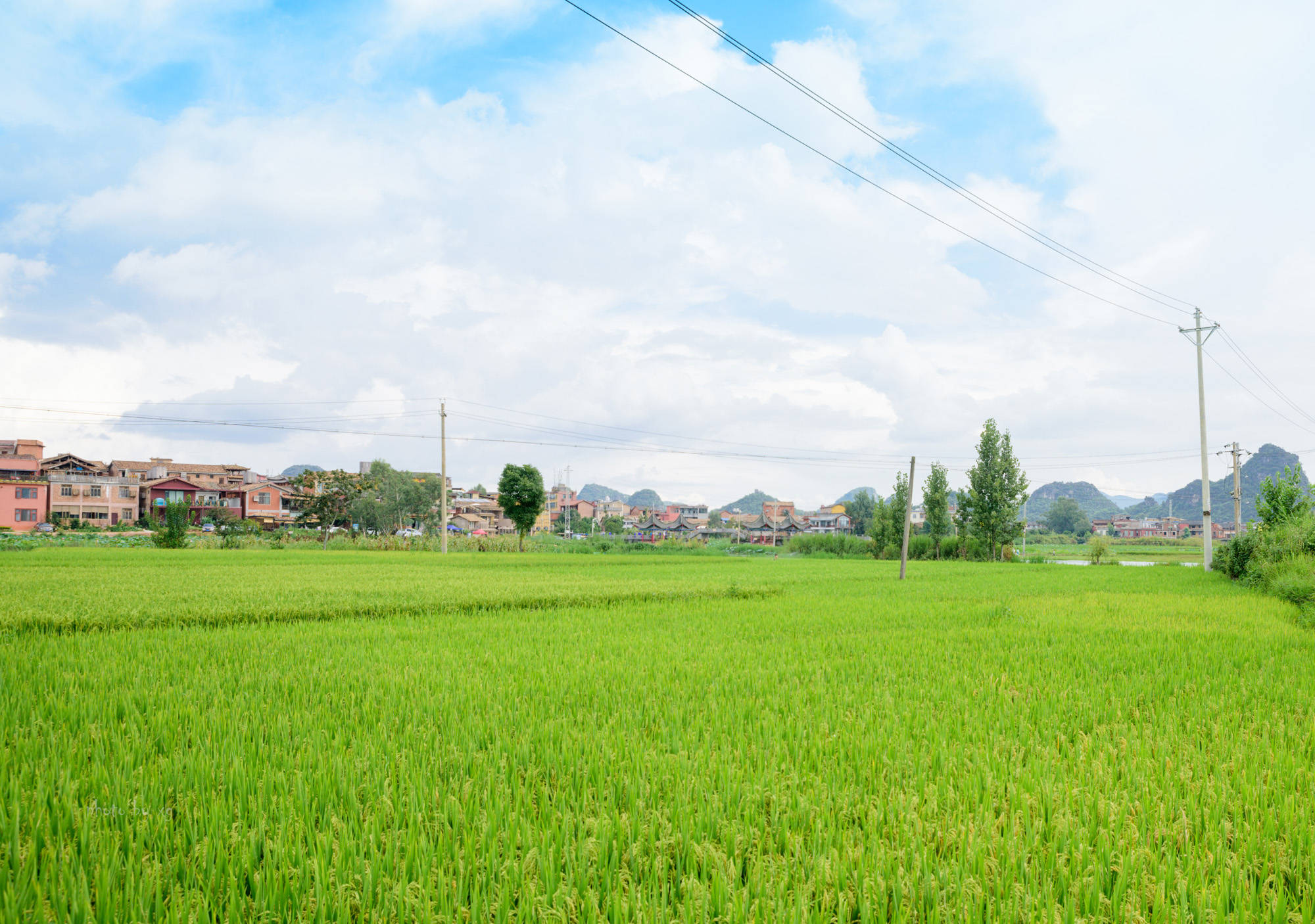 中国独一无二的喀斯特山水田园风光,就在云南,多部剧组到此拍摄