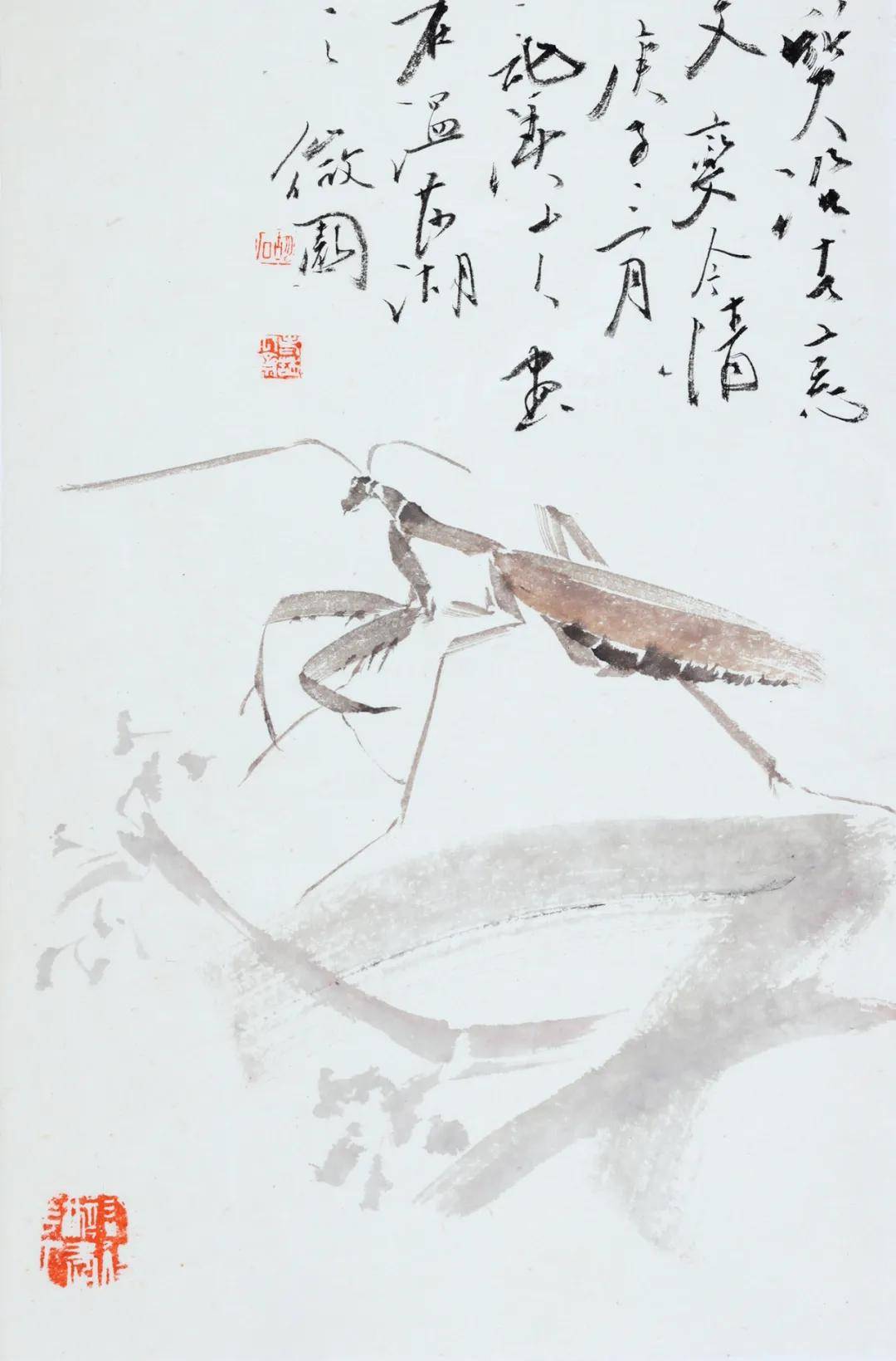 道心惟微荦荦大端胡石的草虫世界