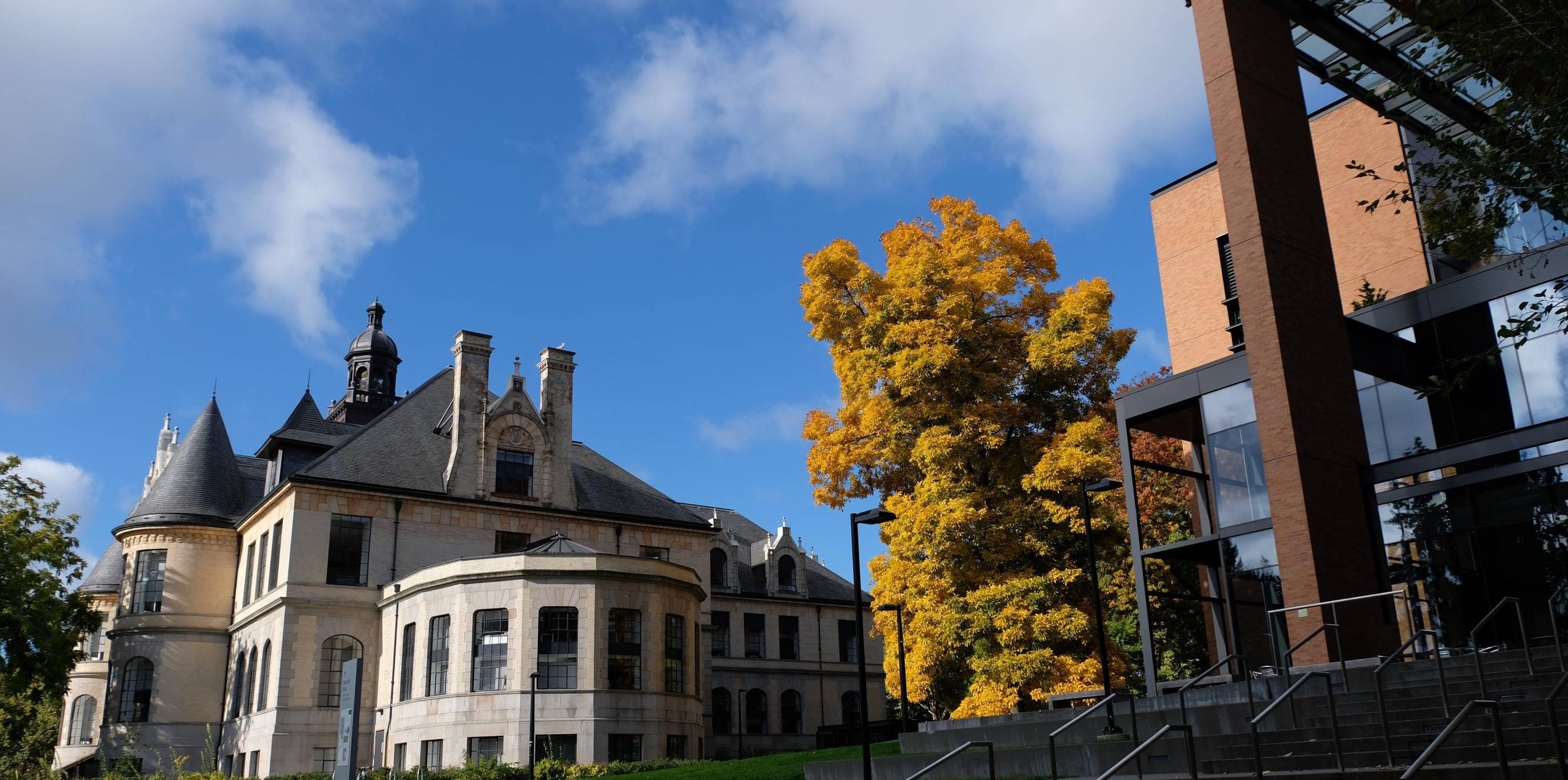 bruin校园集华盛顿大学universityofwashington