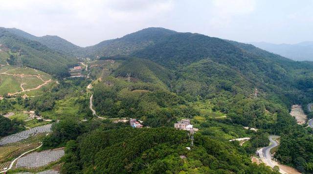 邓山的名村建设工程启动!增城梯田,原始乌榄林尽在眼前_山村