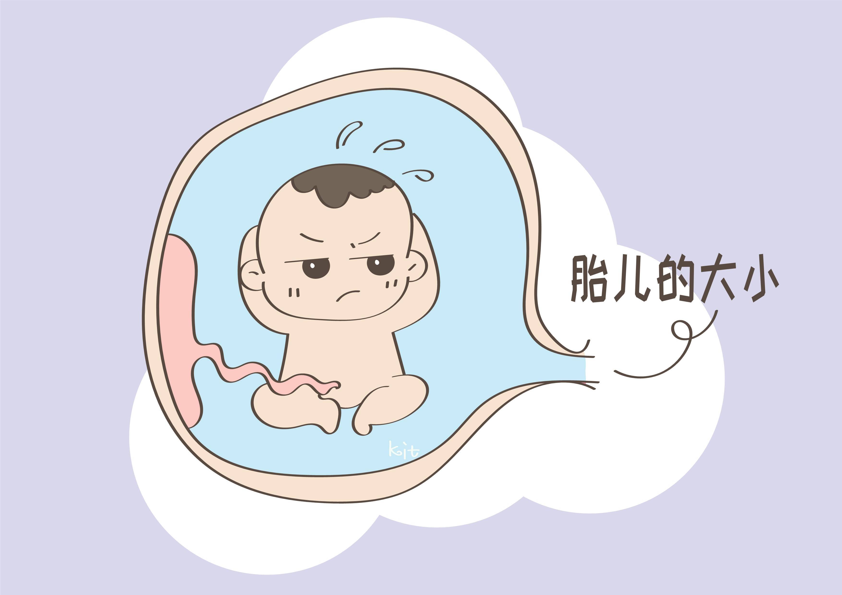 同样是生孩子,为啥有人谈及色变,有人却面对轻松_胎儿