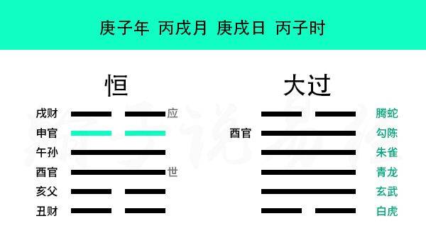 而拜登杨柳木以震卦为代表,震卦代表二把手,代表副总统,代表管理层
