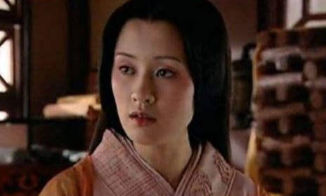 原创老年得子汉昭帝刘弗陵是不是汉武帝亲生从母亲到自己都是传奇