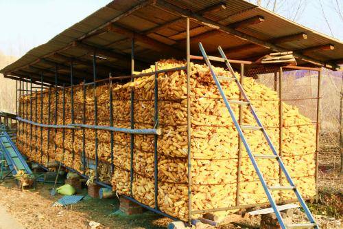 原创农村庭院有蛇进屋是好事还是坏事该怎样预防听老农怎么说