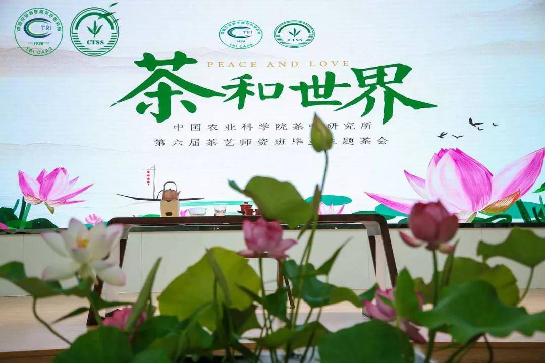 中茶所第六届茶艺师资班 "茶和世界"毕业主题茶会在杭举行_手机搜狐网