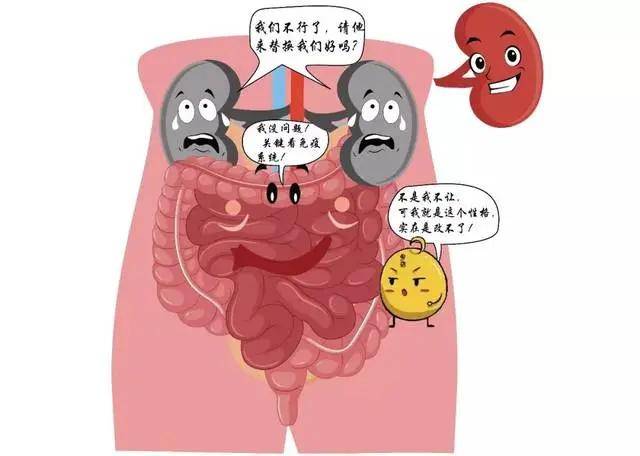 壁虎医生肾移植术后该怎样正确面对生活