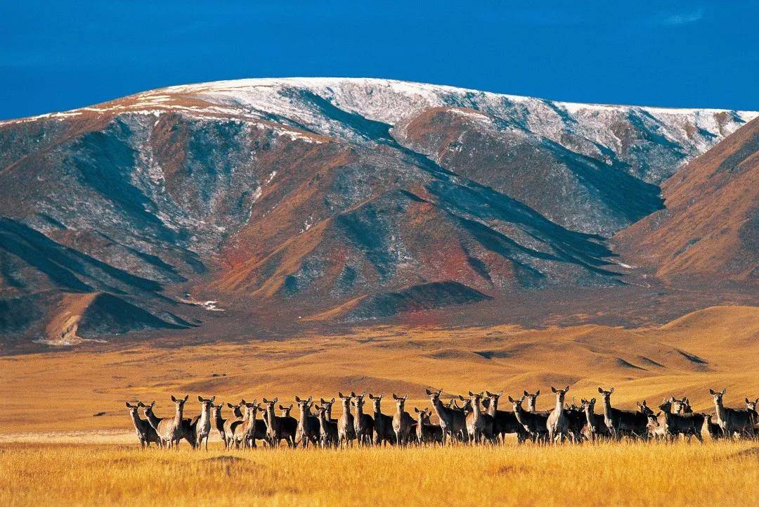 这场图片展 带你看遍甘孜州,阿坝州,凉山州绝美景色