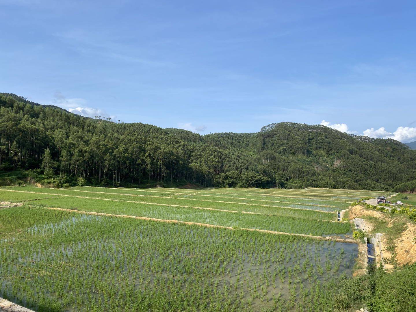 我司为垦造水田项目区提供土地平整,土壤改良,灌溉与排水,田间道路修