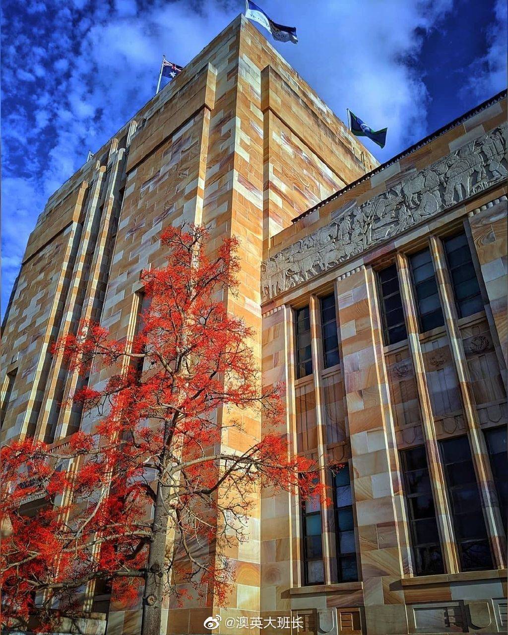 中南林业科技大学班戈学院会计专业,中方均分82.