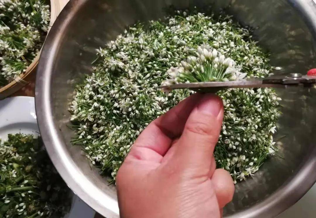 加入少许盐,泡一会,把韭菜花投洗干净,沥净水分;【制作方法】韭菜花1