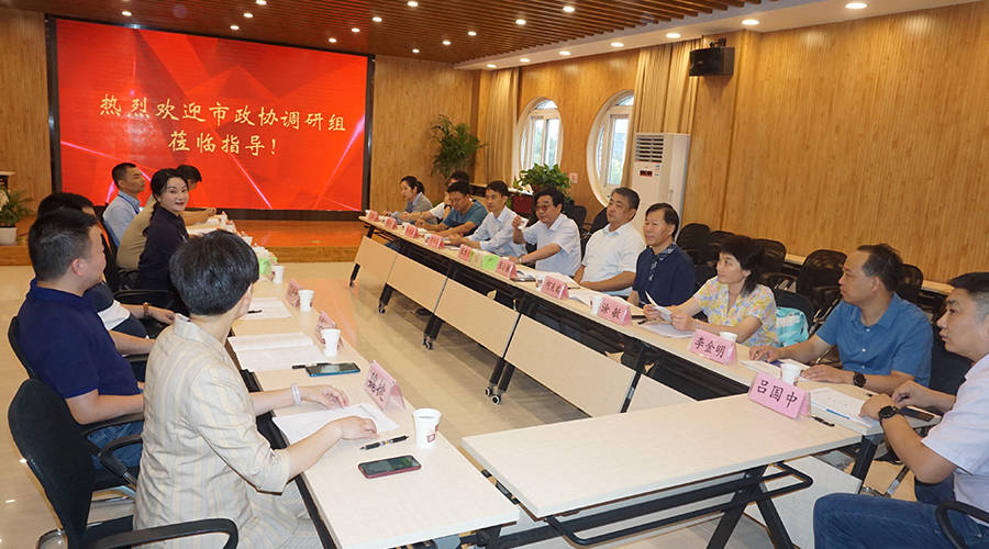 周伊凡董事长向调研组一行汇报了富煌新视觉产业的宏观布局及战略规划