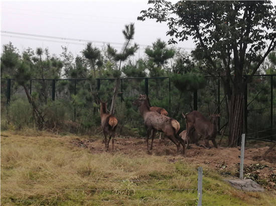 周口市森林野生動物園22日開放園區多區域開放市民可購票體驗