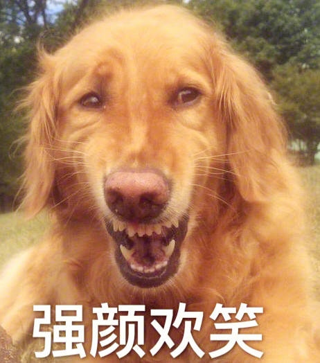 狗宝宝挤在狗妈身上抢奶喝,小主人看到后这样做,狗妈哭笑不得!_汪星人