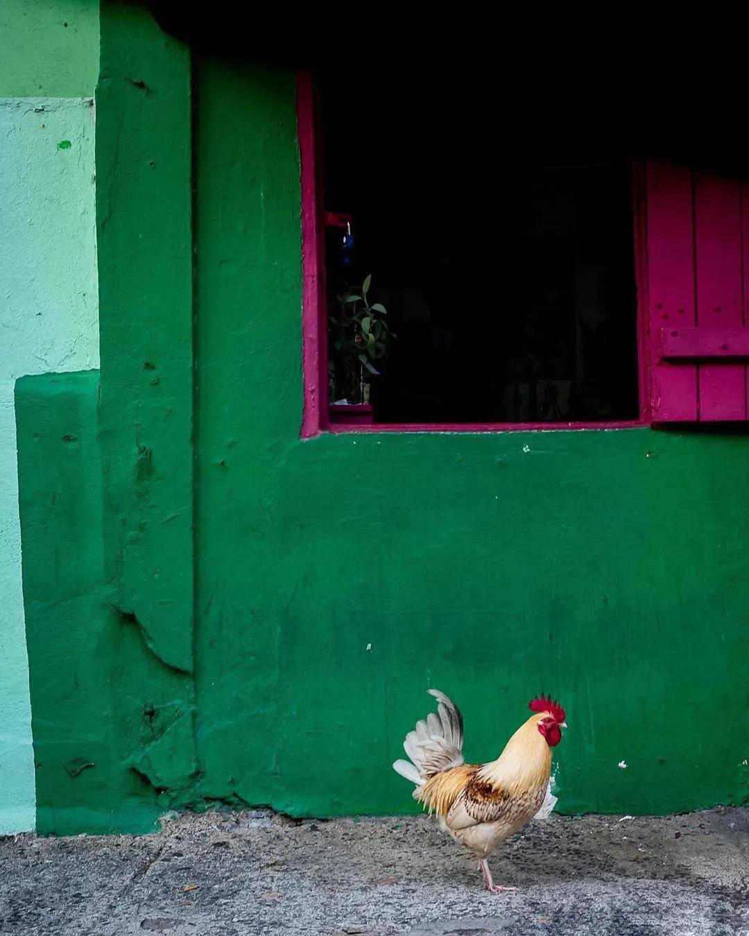 徕卡作品 | 德味,油画般的厚重感