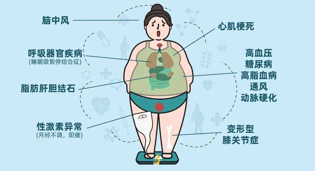 原创防治肥胖胖点没事健康就好不存在的