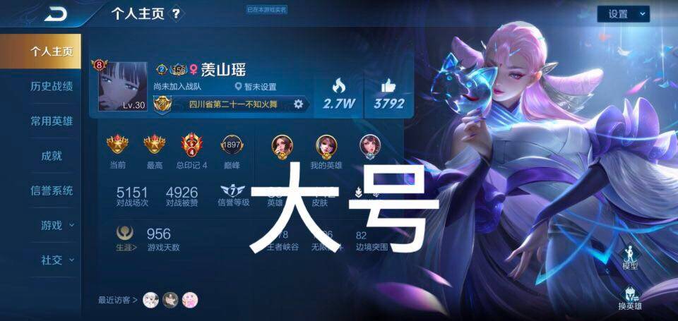 王者荣耀:大神妹子求处cp却没人要?看到主页标志后,瞬间懂了