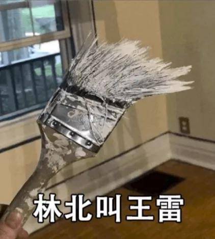 他的直播,薇娅李佳琪看了都直呼内行._王雷