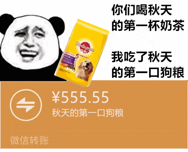 火爆的秋天系列表情包秋天来了我已经穿上了秋天的第一条秋裤