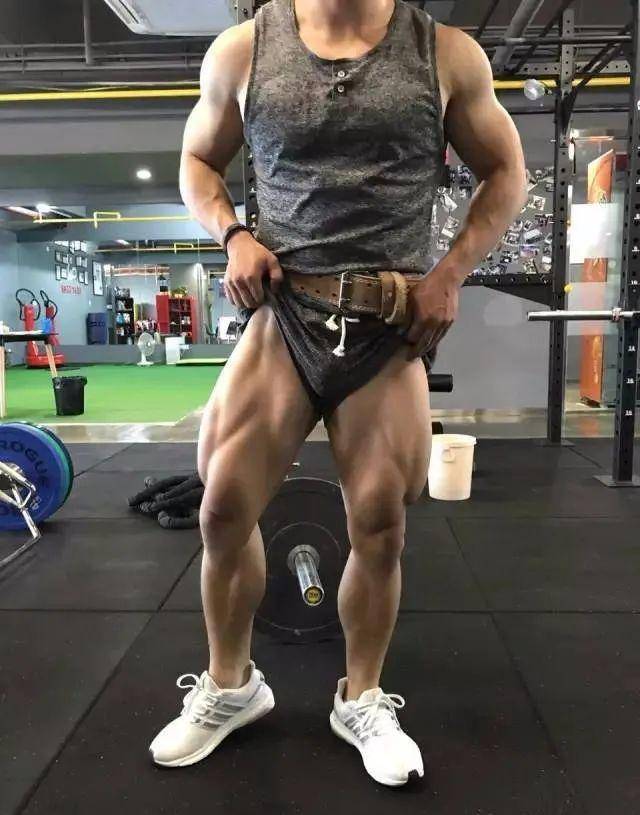 鹿晨辉腿部训练有多恐怖,大神都直呼受不了