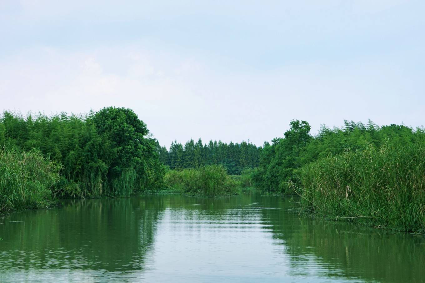 江南规模最大的原生态天然湿地,在德清下渚湖体验日与夜的美